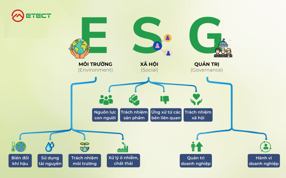 Chứng nhận Synesgy cấp cho Công ty Cổ phần METECT, điểm ESG hạng A mức bền vững xuất sắc, điểm xếp hạng 99 trên 100, do CRIF D&B Vietnam cấp ngày 21 tháng 3 năm 2026, hiệu lực đến 21 tháng 3 năm 2027